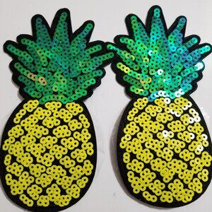 Big Pineapples Pasties Set